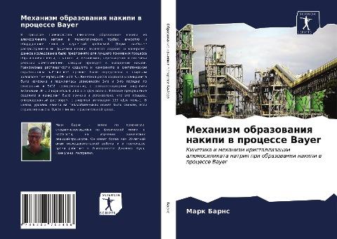 Mehanizm obrazowaniq nakipi w processe Bayer