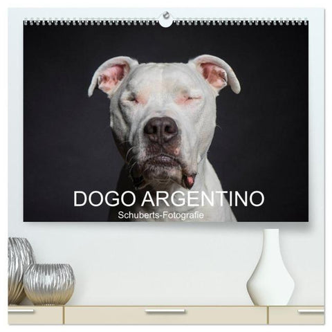 DOGO ARGENTINO (hochwertiger Premium Wandkalender 2026 DIN A2 quer), Kunstdruck in Hochglanz
