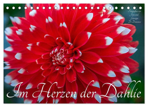 Im Herzen der Dahlie (Tischkalender 2026 DIN A5 quer), CALVENDO Monatskalender