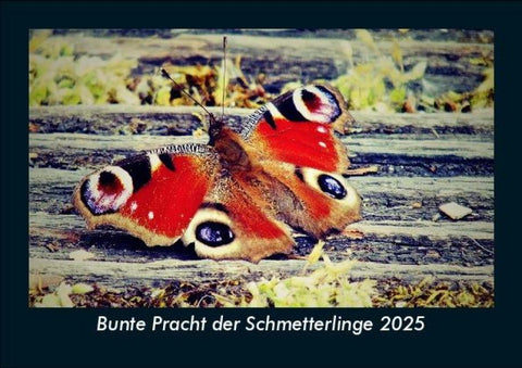 Bunte Pracht der Schmetterlinge 2025 Fotokalender DIN A5