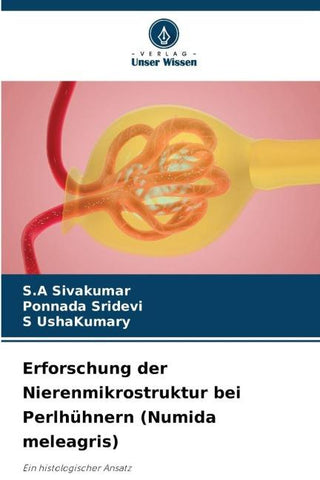 Erforschung der Nierenmikrostruktur bei Perlhühnern (Numida meleagris)