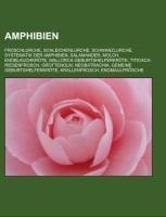 Amphibien