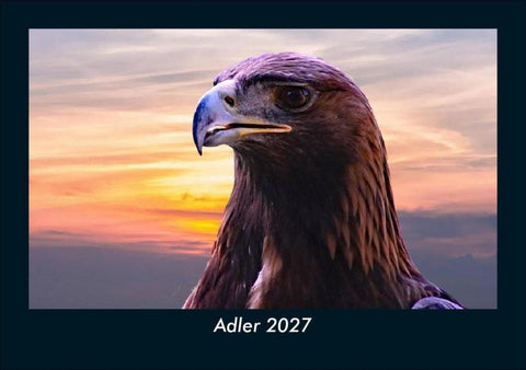 Adler 2027 Fotokalender DIN A5