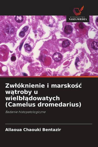 Zw¿óknienie i marsko¿¿ w¿troby u wielb¿¿dowatych (Camelus dromedarius)