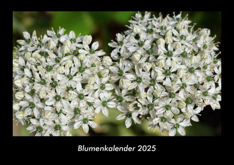 Blumenkalender 2025 Fotokalender DIN A3