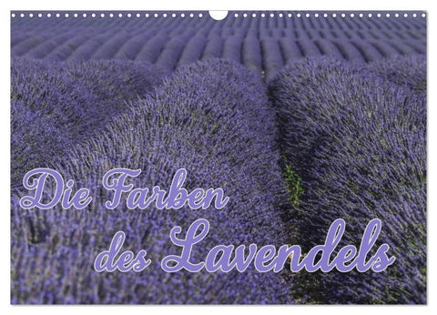 Die Farbe des Lavendels (Wandkalender 2026 DIN A3 quer), CALVENDO Monatskalender