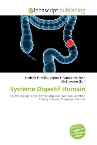 Système Digestif Humain