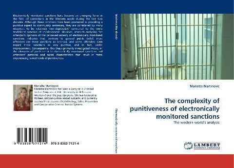 The complexity of punitiveness of electronically monitored sanctions