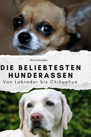 Die beliebtesten Hunderassen