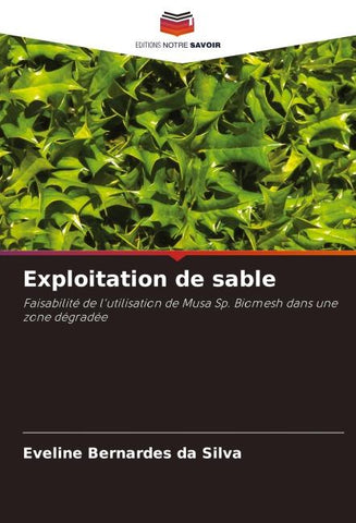 Exploitation de sable