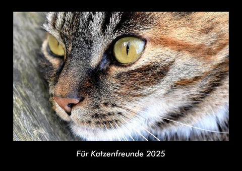 Für Katzenfreunde 2025 Fotokalender DIN A3