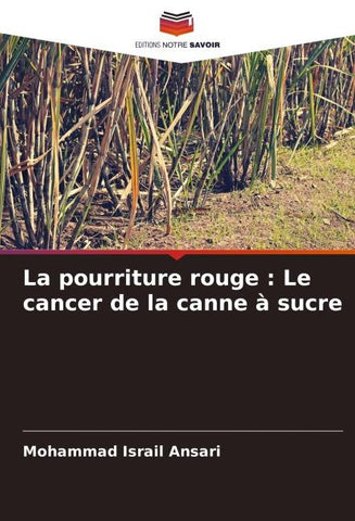La pourriture rouge : Le cancer de la canne à sucre