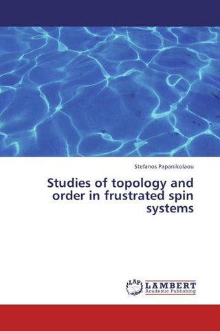 Studies of topology and order in frustrated spin systems
