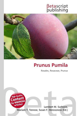 Prunus Pumila