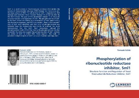 Phosphorylation of ribonucleotide reductase inhibitor, Sml1