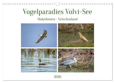 Vogelparadies Volvi-See (Wandkalender 2026 DIN A3 quer), CALVENDO Monatskalender
