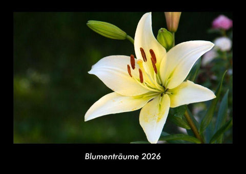 Blumenträume 2026 Fotokalender DIN A3