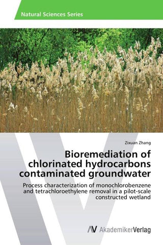 Bioremediation of chlorinated hydrocarbons contaminated groundwater