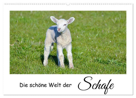 Die schöne Welt der Schafe (Wandkalender 2026 DIN A2 quer), CALVENDO Monatskalender