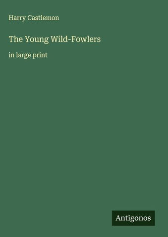 The Young Wild-Fowlers