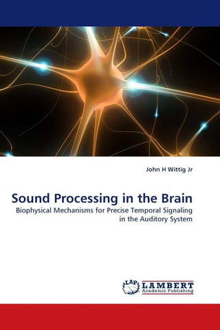 Sound Processing in the Brain