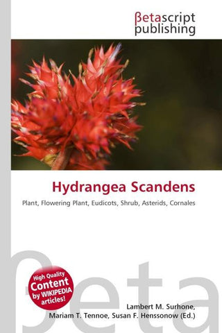 Hydrangea Scandens