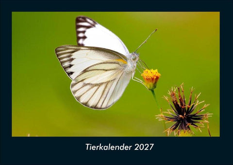 Tierkalender 2027 Fotokalender DIN A4