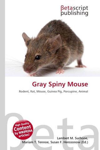 Gray Spiny Mouse