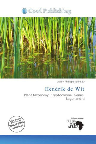 Hendrik de Wit