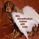 Ein himmlisches Leben mit Lola
