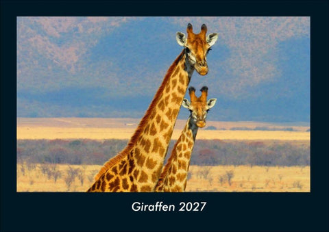 Giraffen 2027 Fotokalender DIN A4