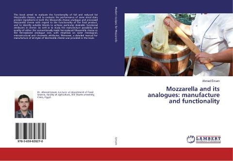 Mozzarella and its analogues: manufacture and functionality