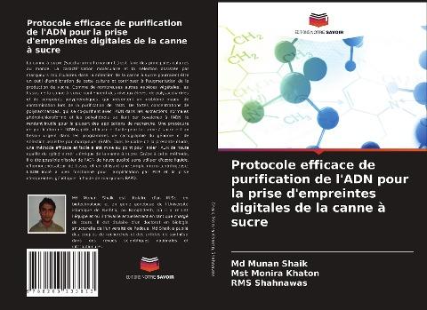 Protocole efficace de purification de l'ADN pour la prise d'empreintes digitales de la canne à sucre
