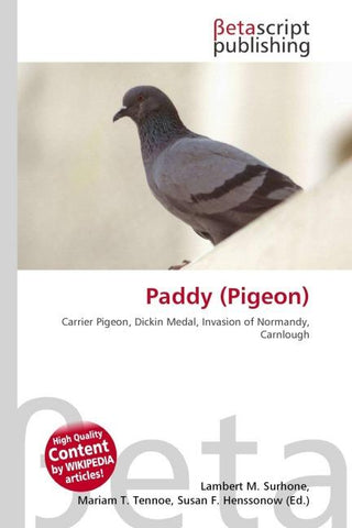 Paddy (Pigeon)