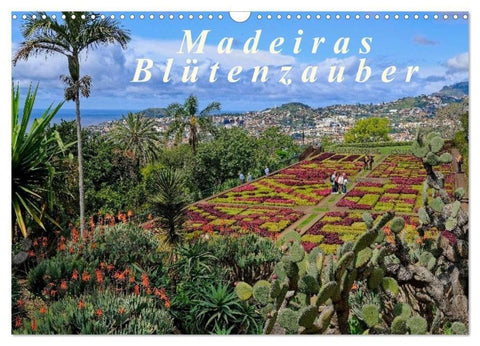 Madeiras Blütenzauber (Wandkalender 2026 DIN A3 quer), CALVENDO Monatskalender