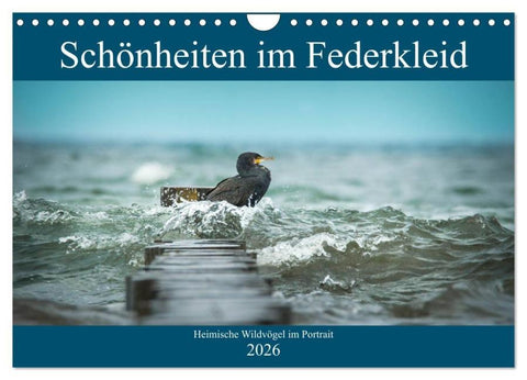 Schönheiten im Federkleid - Heimische Wildvögel im Portrait (Wandkalender 2026 DIN A4 quer), CALVENDO Monatskalender