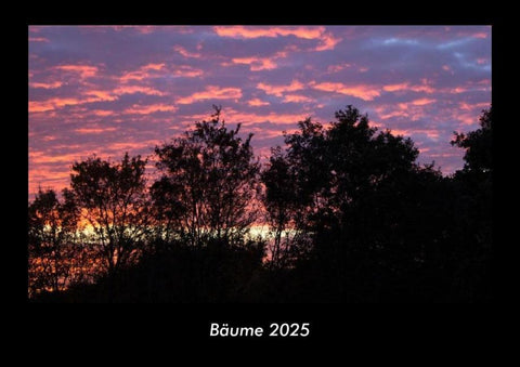Bäume 2025 Fotokalender DIN A3