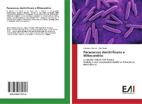 Paracoccus denitrificans e Mitocondrio
