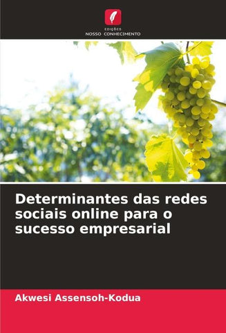 Determinantes das redes sociais online para o sucesso empresarial