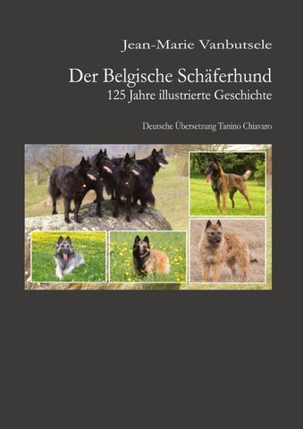 Der Belgische Schäferhund