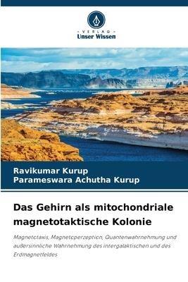 Das Gehirn als mitochondriale magnetotaktische Kolonie