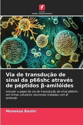 Via de transdução de sinal da p66shc através de péptidos ¿-amilóides