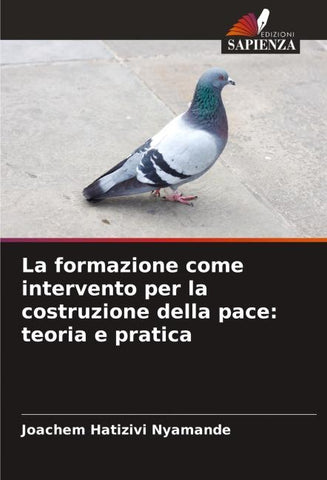 La formazione come intervento per la costruzione della pace: teoria e pratica