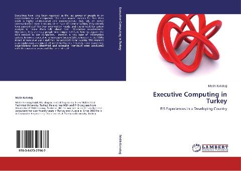 Executive Computing in Turkey