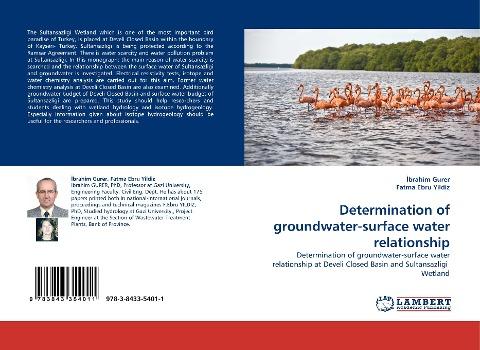 Determination of groundwater-surface water relationship