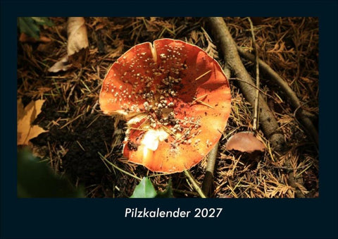 Pilzkalender 2027 Fotokalender DIN A4