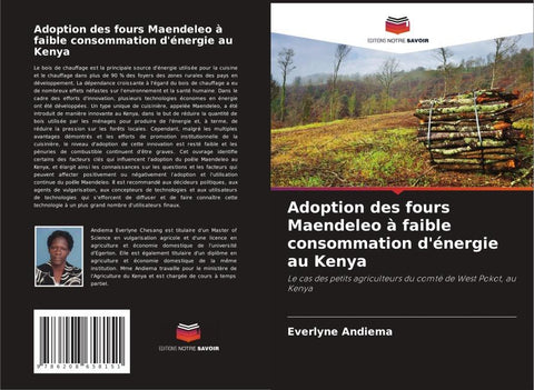 Adoption des fours Maendeleo à faible consommation d'énergie au Kenya
