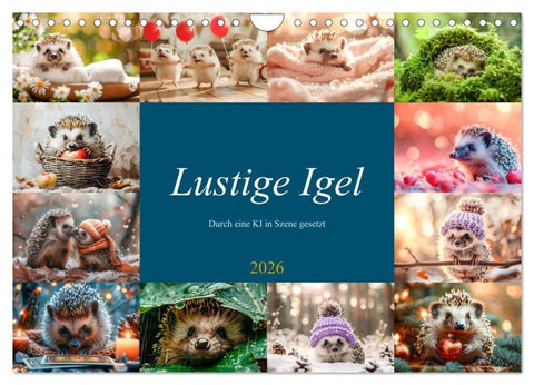 Lustige Igel (Wandkalender 2026 DIN A4 quer), CALVENDO Monatskalender