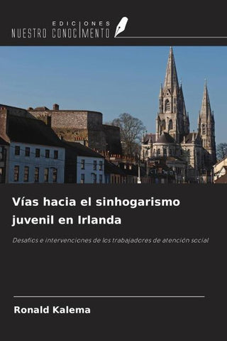 Vías hacia el sinhogarismo juvenil en Irlanda