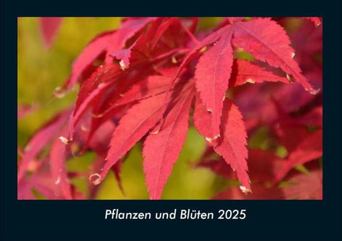 Pflanzen und Blüten 2025 Fotokalender DIN A4